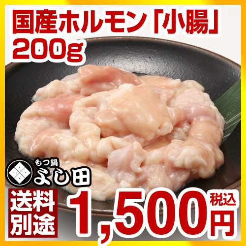 ホルモン☆小僧ページ 北海道産 牛小腸ブロック 300g (もつ鍋 ホルモン) : 十勝